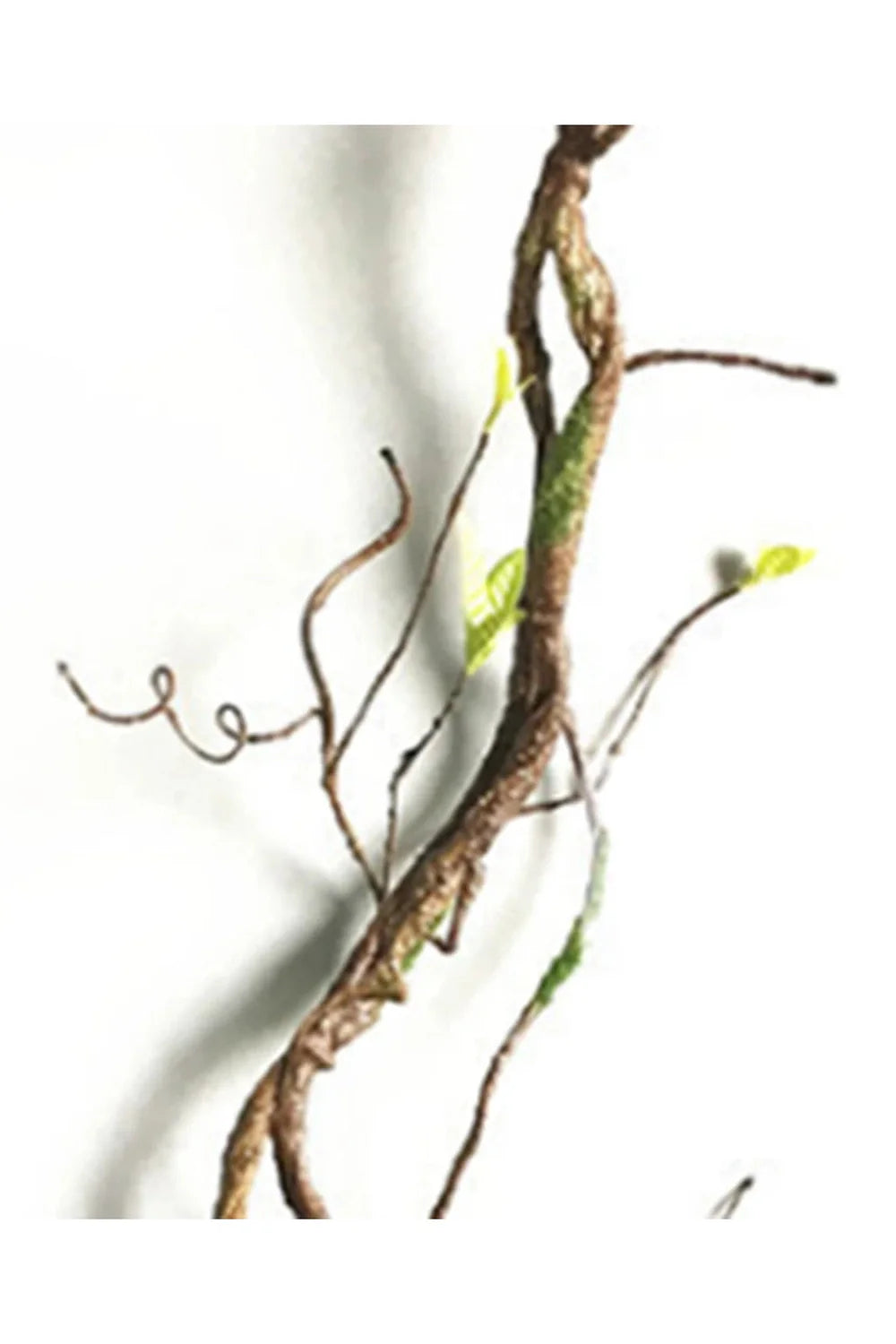 Rattan artificial plants | Bowlift