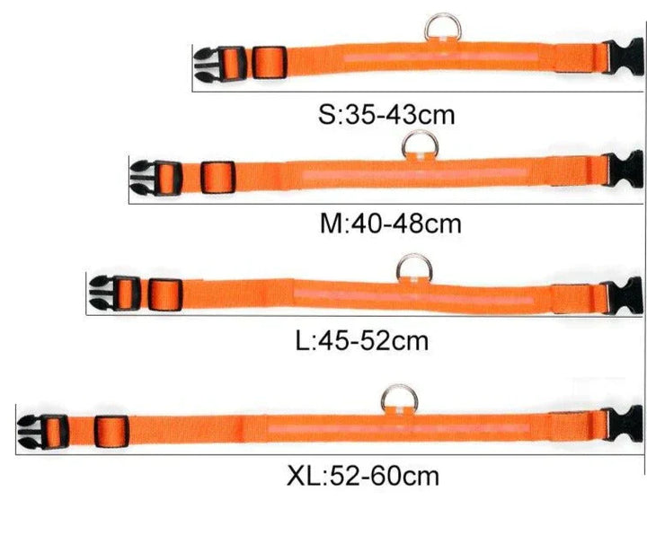 BowLift | GlowPets LED Collar – Safety & Visibility for Pets