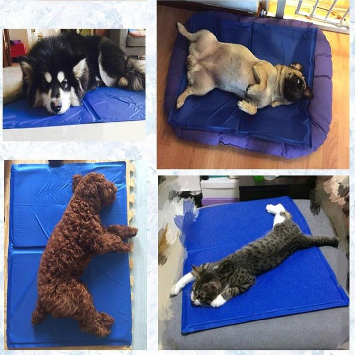 Pet Cooling Mat | Bowlift