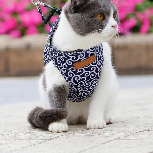 BowLift | Cat vest harness and leash set for walks