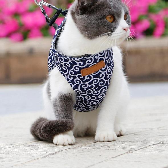 Collar jacket and leash for cat | Bowlift