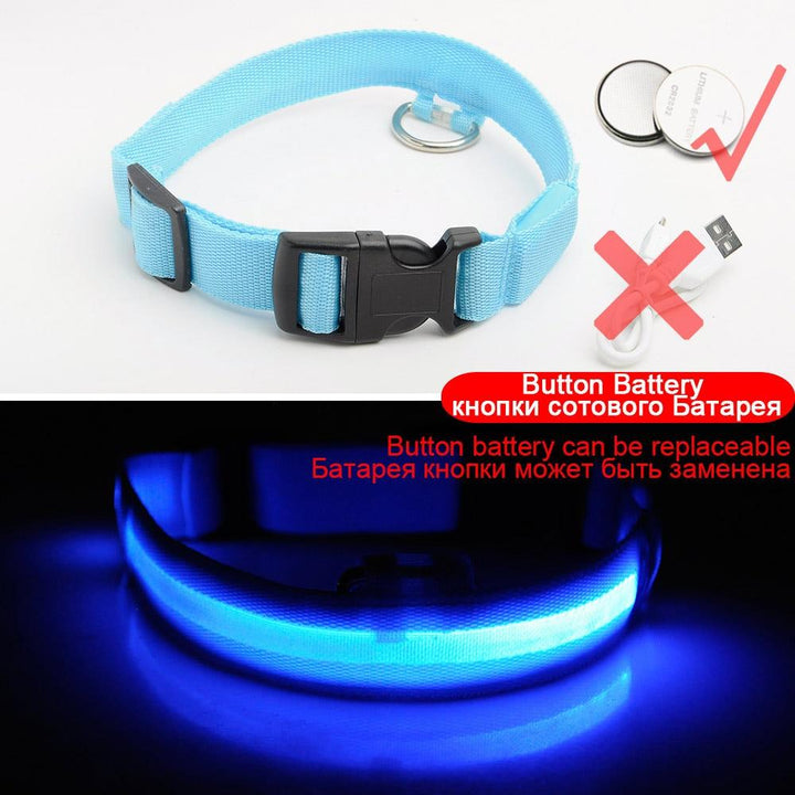 BowLift | Light Up Dog Collar - Flashing Dog Collar
