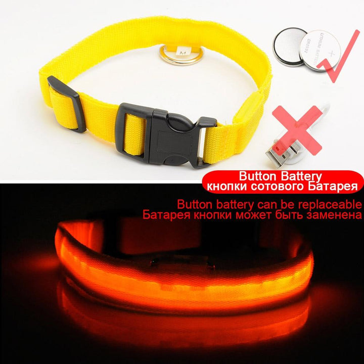 BowLift | Light Up Dog Collar - Flashing Dog Collar