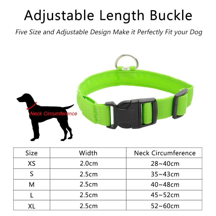 BowLift | Light Up Dog Collar - Flashing Dog Collar