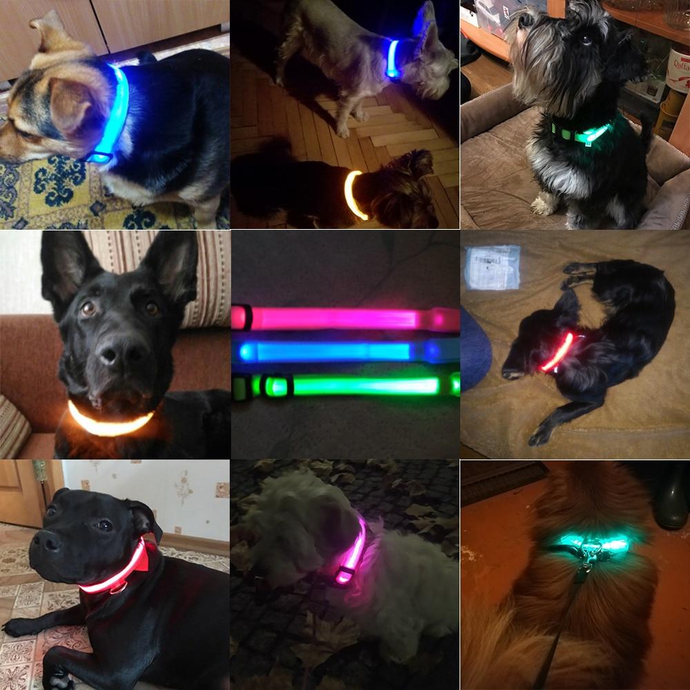 BowLift | Light Up Dog Collar - Flashing Dog Collar