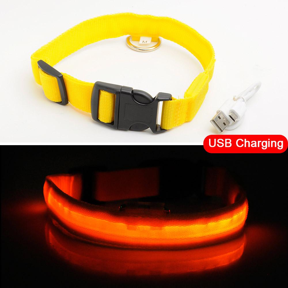 BowLift | Light Up Dog Collar - Flashing Dog Collar