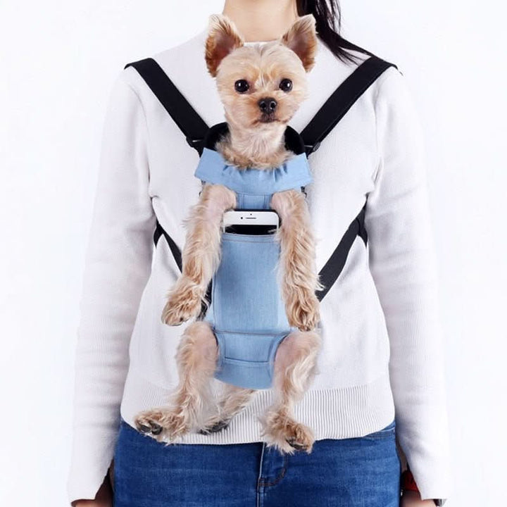 BowLift | PETCARRIER – Carrier bag for dogs with safety strap & comfort padding
