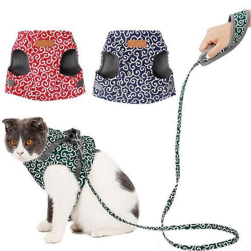 Collar jacket and leash for cat | Bowlift
