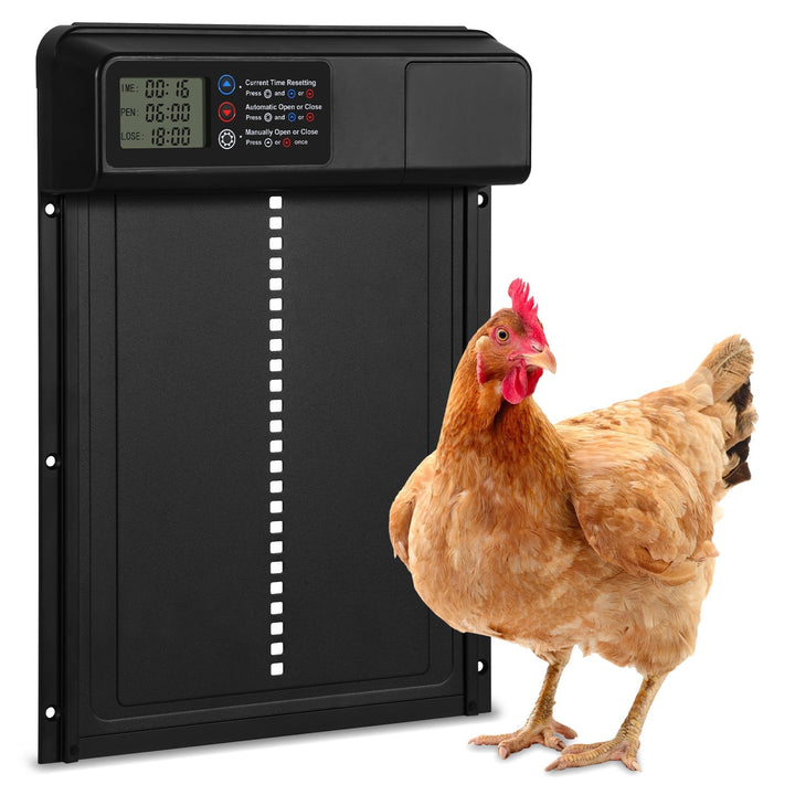 Chicken flap automatic timer | Bowlift