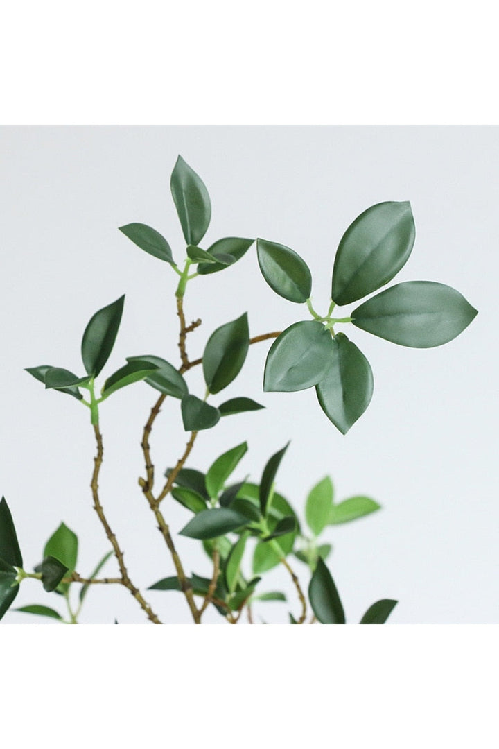 Branch Luxury Decor | Bowlift