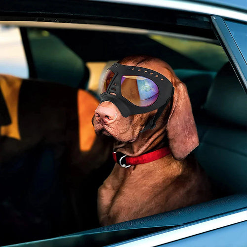 Bowlift Shadow Dog Goggles