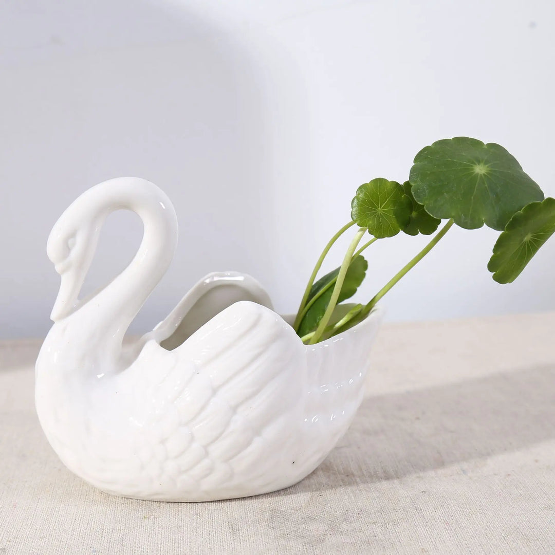 Swan Minimal Ceramic Pot | Bowlift