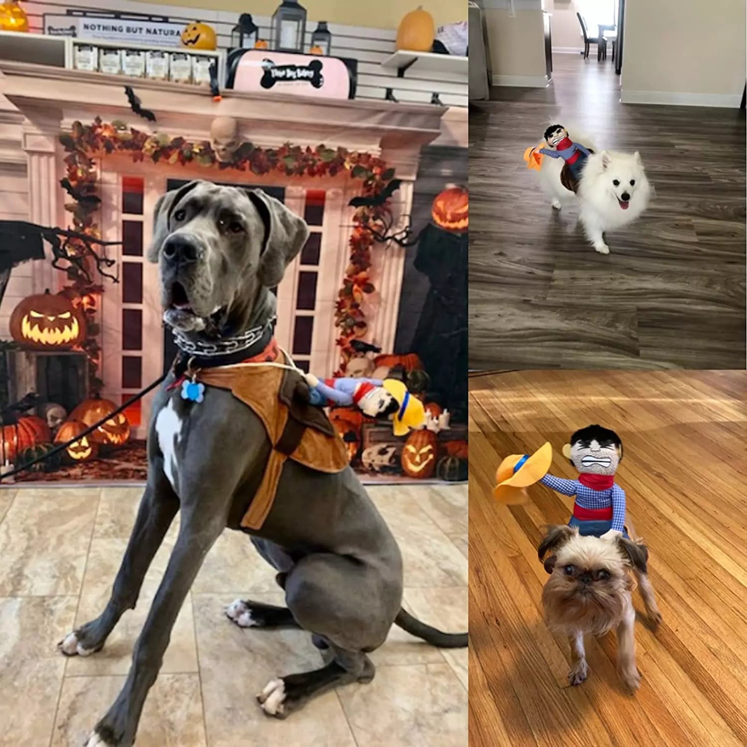BowLift | Halloween Cowboy Dog Costume Outfit