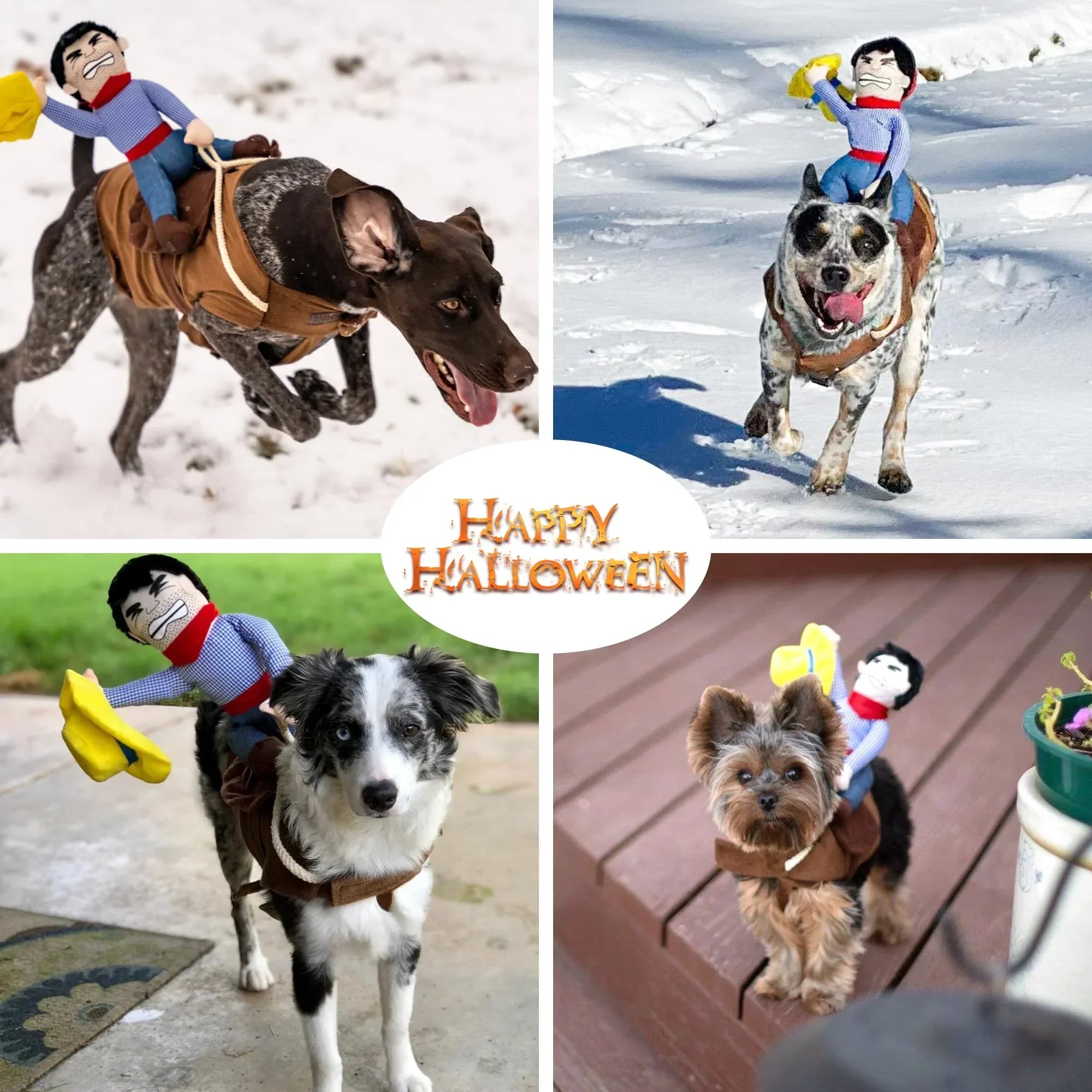 BowLift | Halloween Cowboy Dog Costume Outfit