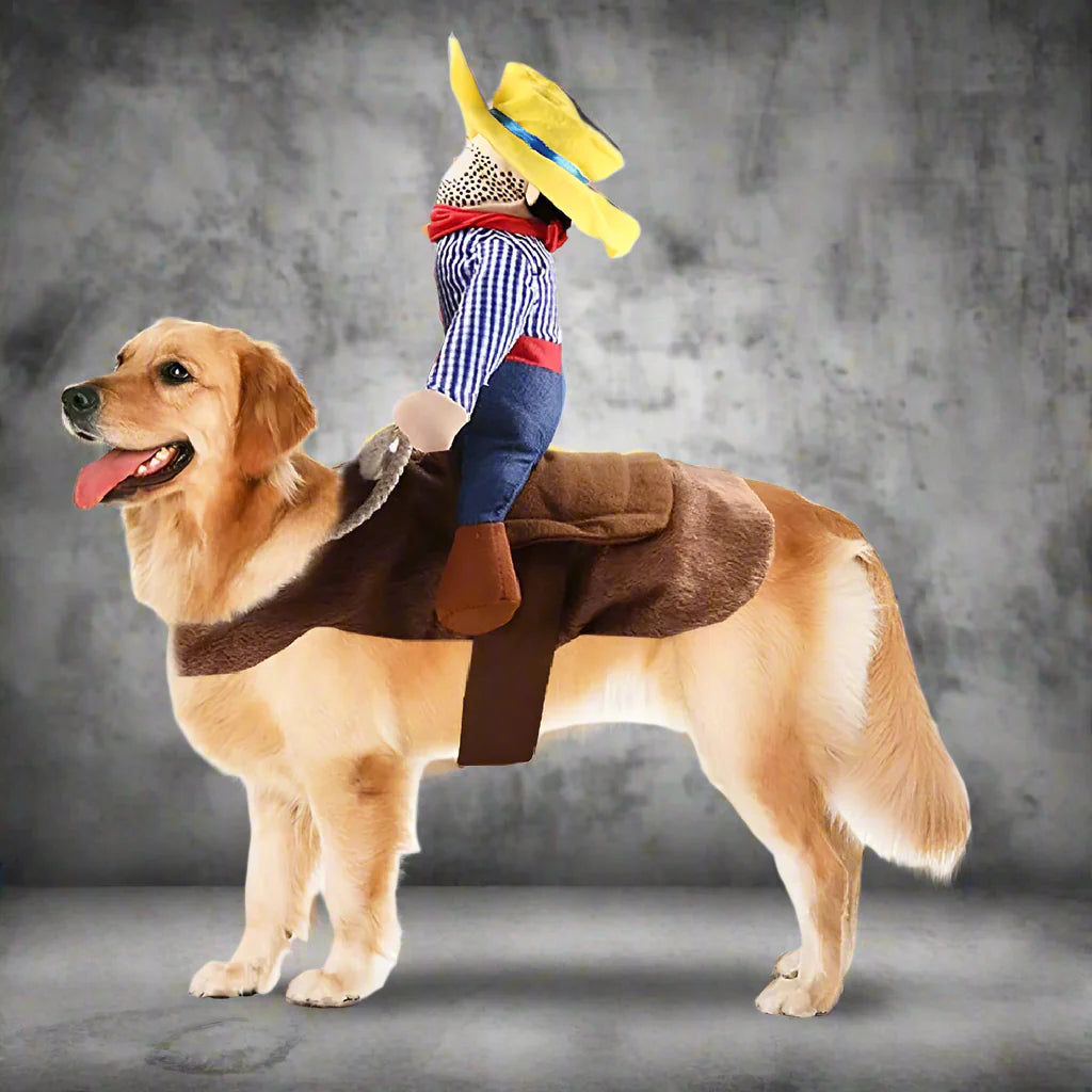 BowLift | Halloween Cowboy Dog Costume Outfit