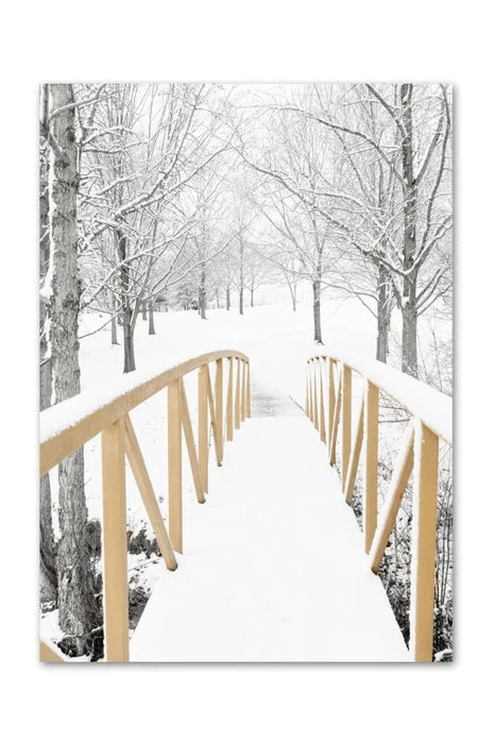 Canvas poster | Bowlift
