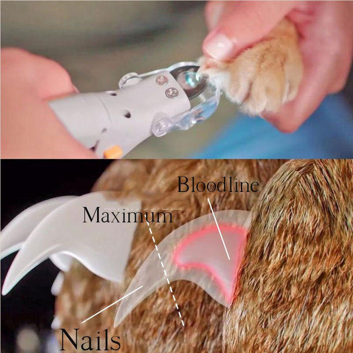 BowLift | Nail clippers for dogs | Safe toenail cutter