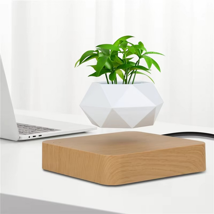 BowLift | Magnetic Levitating Bonsai Planter, Floating Flower Pot for Home and Office Décor