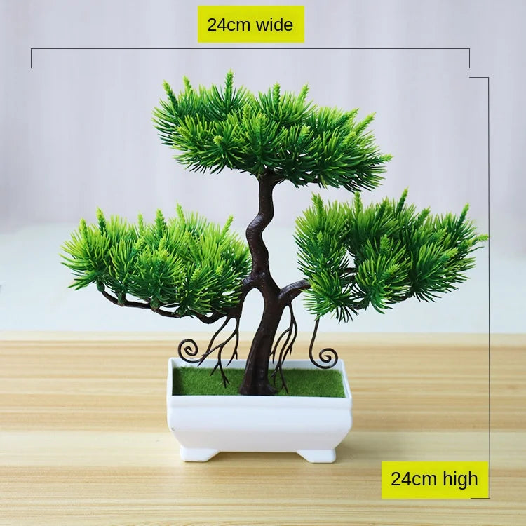 BowLift | Small Tree Pot Bonsai Plants