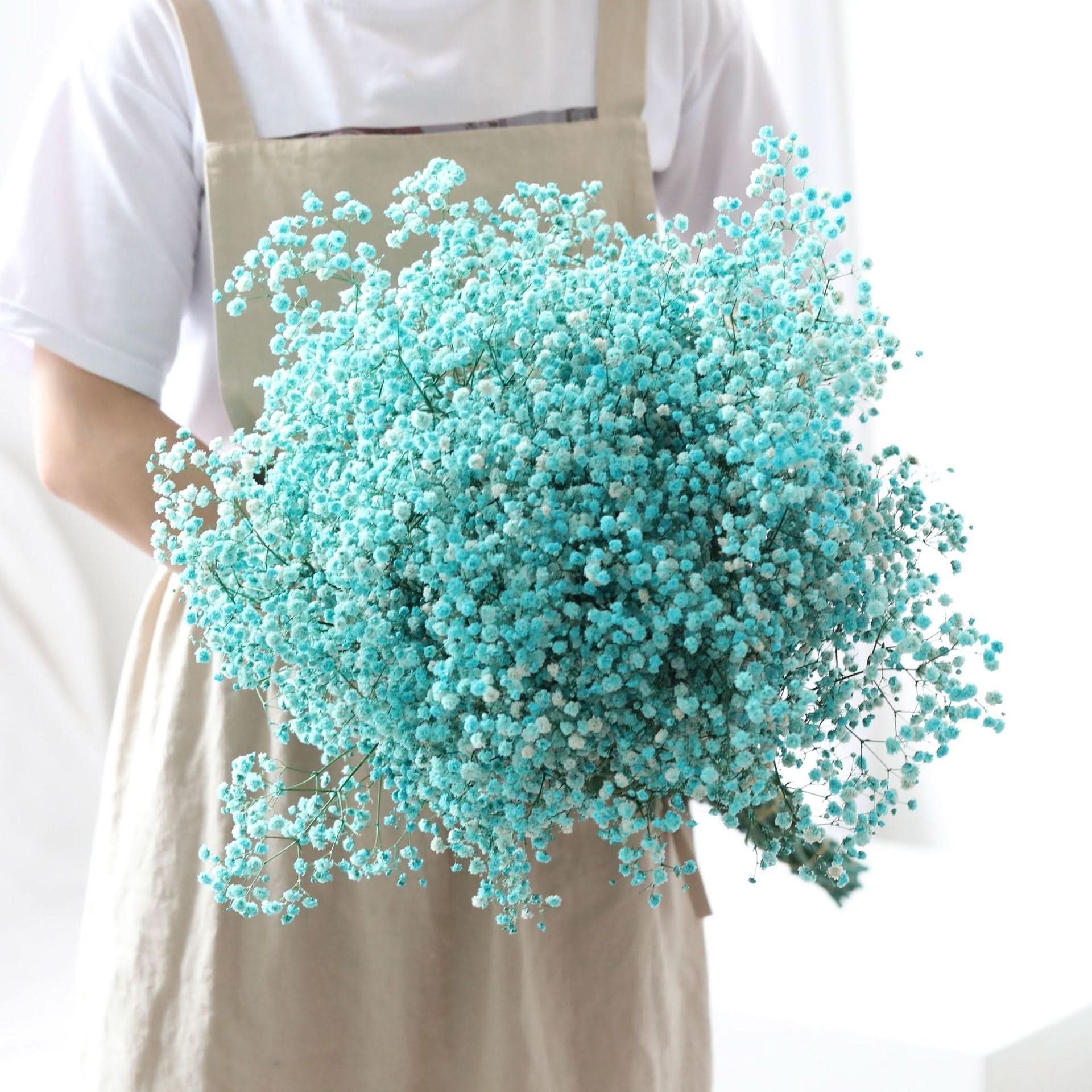 BowLift | Dried Preserved Gypsophila Flower Bouquet – Natural Decor