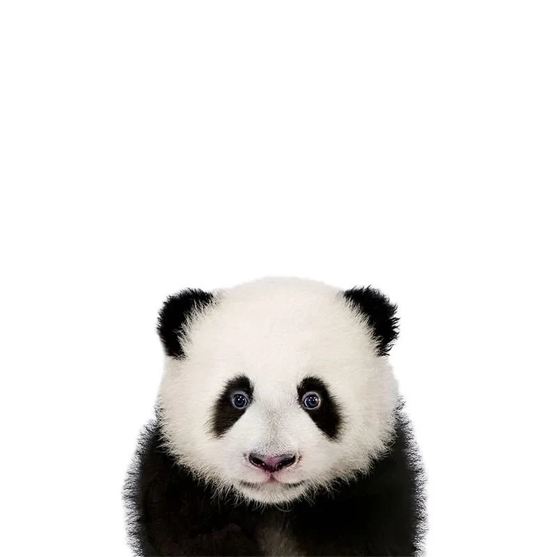 Baby Cute Animals Wall Stickers For Nursery Room Removable Peel and Stick Vinyl Wall Decals For Baby's Room Creative DIY Wall Decor | Bowlift