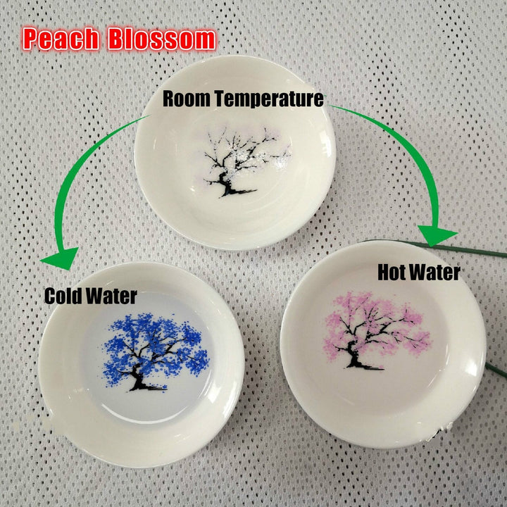 BowLift | Color Changing Magic Bloom Bowl