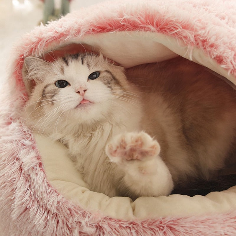 Cat bed | Bowlift