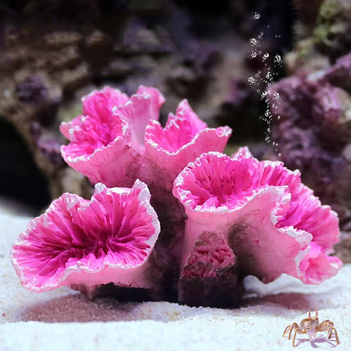 BowLift | Vibrant Resin Coral Reef Decor for Aquariums