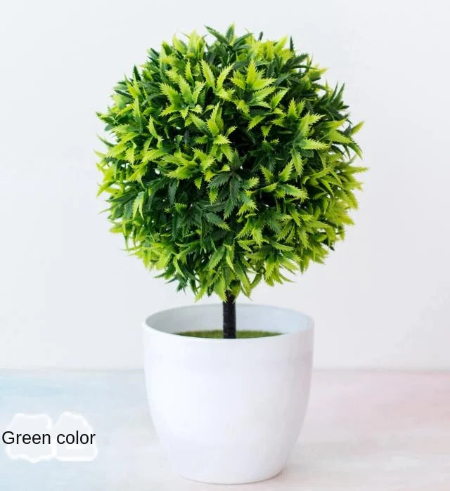 BowLift | Small Tree Pot Bonsai Plants