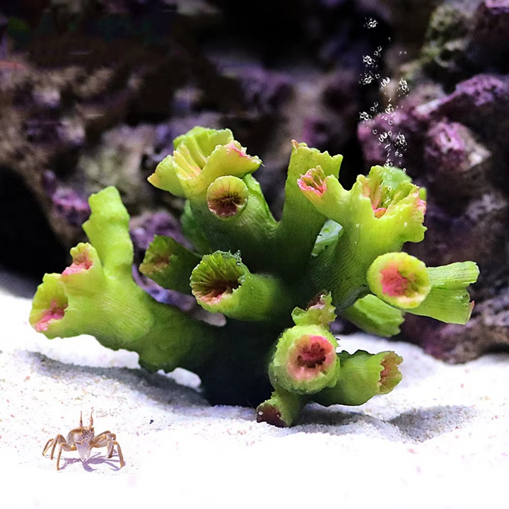 BowLift | Vibrant Resin Coral Reef Decor for Aquariums