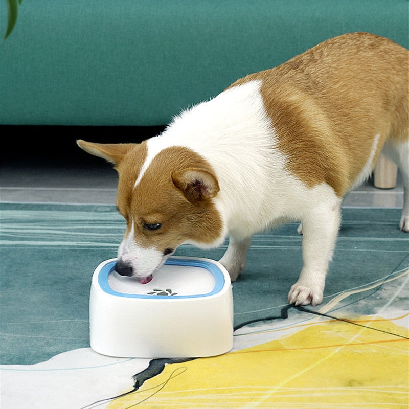 BowLift | No-Spill Pet Water Dispenser Bowl