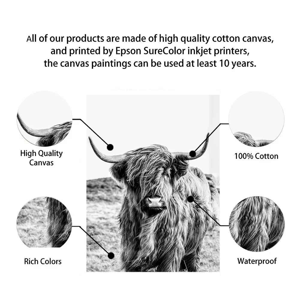 Highland Cattle Black White Minimalist Wall Art Fine Art Canvas Prints Posters Pictures For Living Room Dining Room Nordic Home Decor | Bowlift