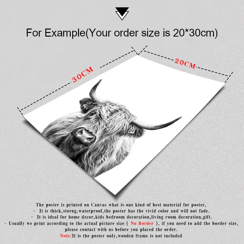 Highland Cattle Black White Minimalist Wall Art Fine Art Canvas Prints Posters Pictures For Living Room Dining Room Nordic Home Decor | Bowlift