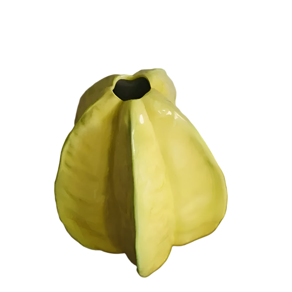 BowLift | Artisanal Ceramic Flower Vase in Starfruit Shape