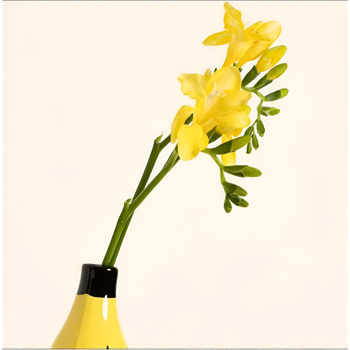BowLift | Modern Decorative Banana-Shaped Vase