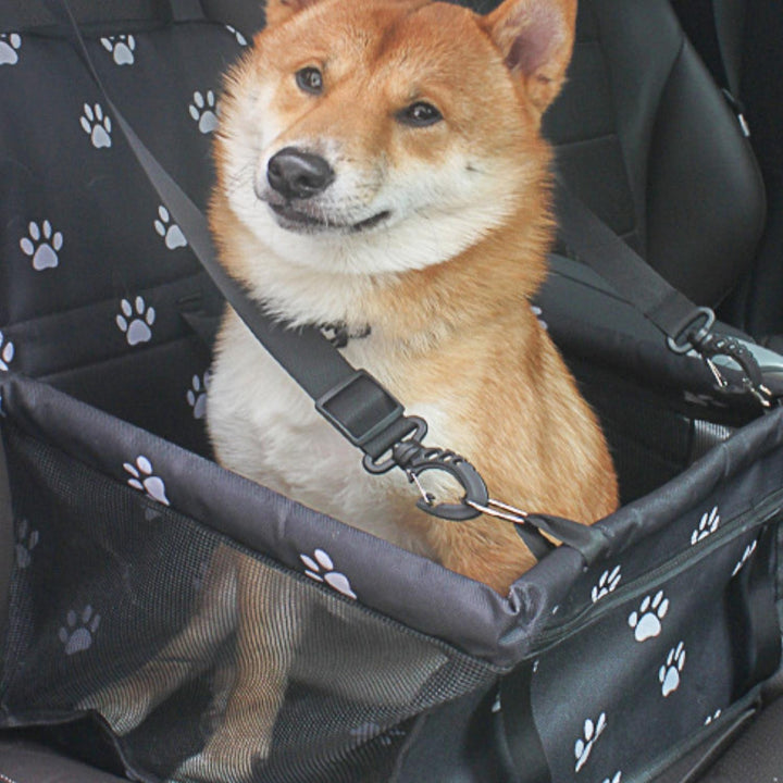 BowLift | AutoPaw Elevated Dog Seat – Waterproof, Non-slip and Safe for On the Go