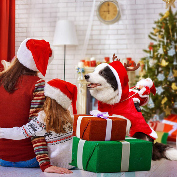 BowLift | SantaPaw™ Holiday Spirit for Pets