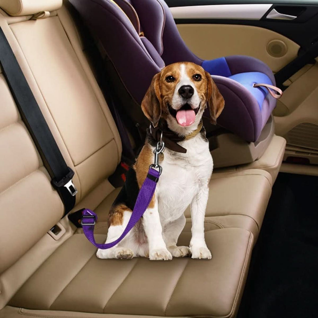 BowLift | PETECURE – Adjustable safety belt for pets in the car