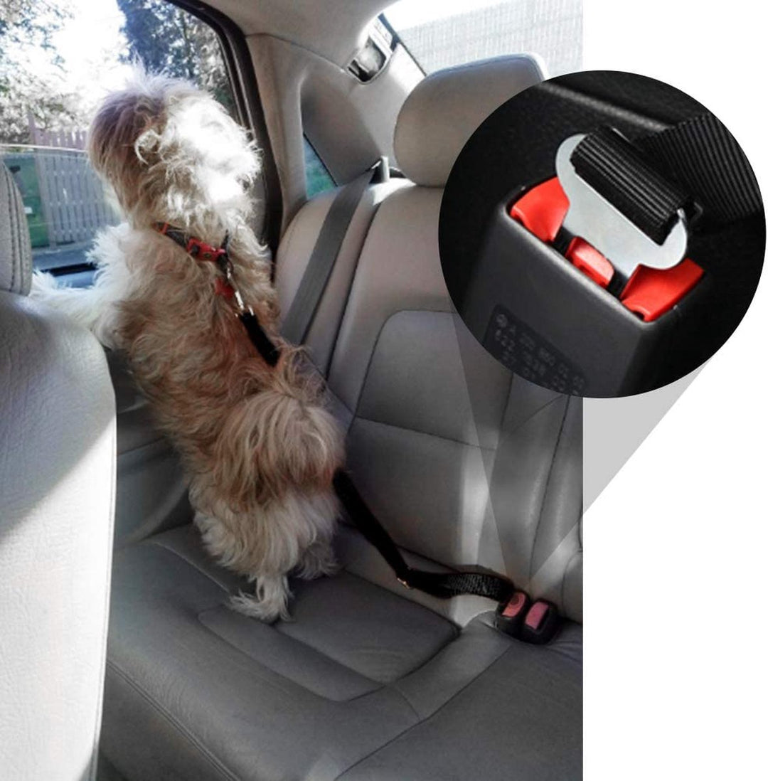 Safety seatbelt for Pets Bowlift