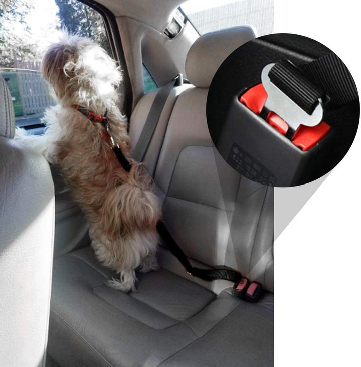 Safety seatbelt for Pets Bowlift