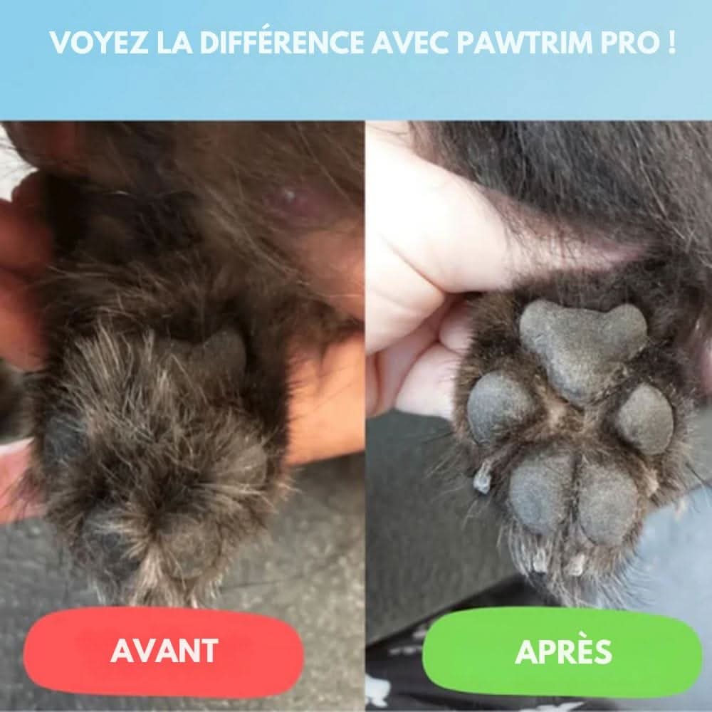 BowLift | Silent dog trimmer for clean paws & sensitive areas