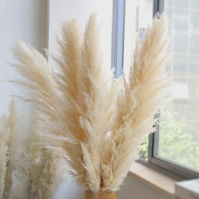 BowLift | Large fluffy pampas grass