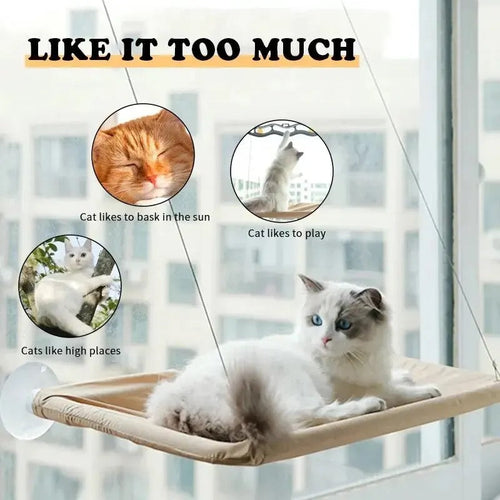 Cat Hammock Bowlift