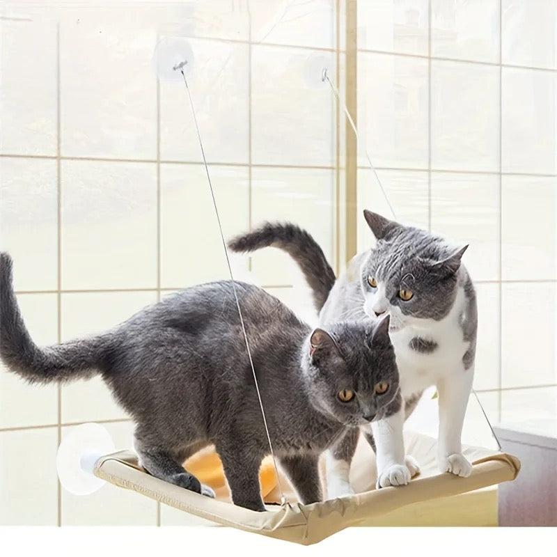 Cat Hammock Bowlift