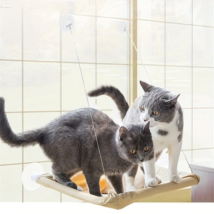 Cat Hammock Bowlift