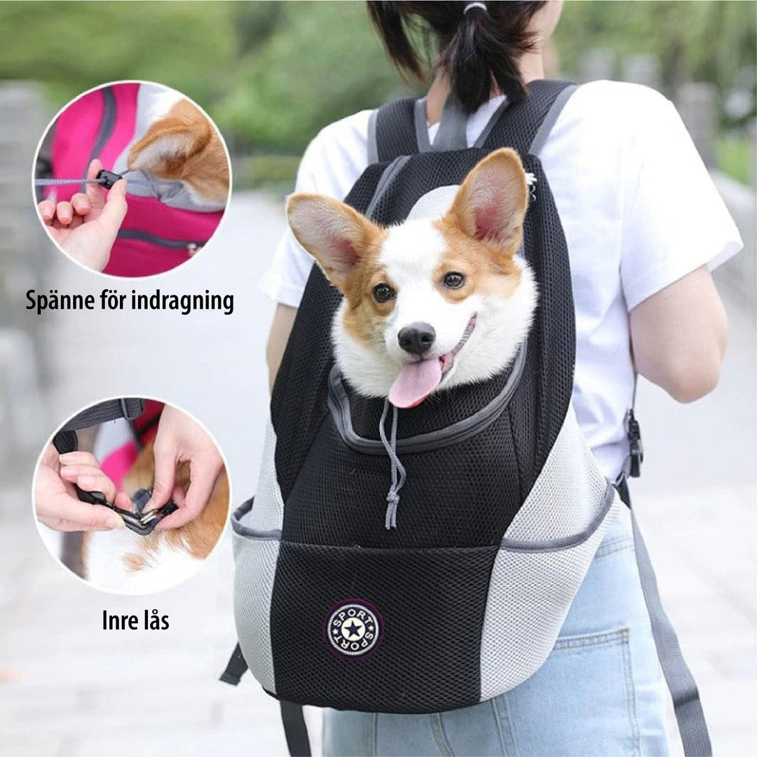 BowLift | PawCarry – Together everywhere on the go