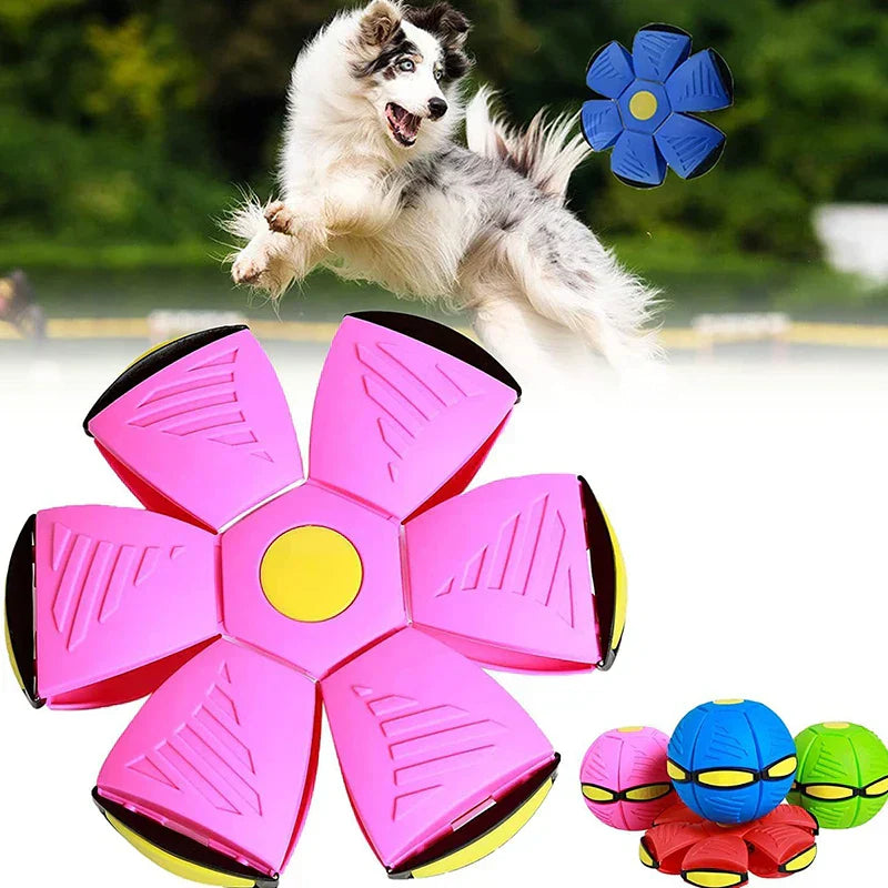 BowLift | Dog Toy Interactive Rubber Flying Disc Ball