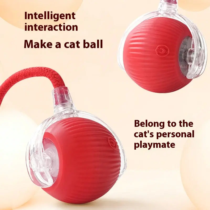 BowLift | Interactive toy for active animals