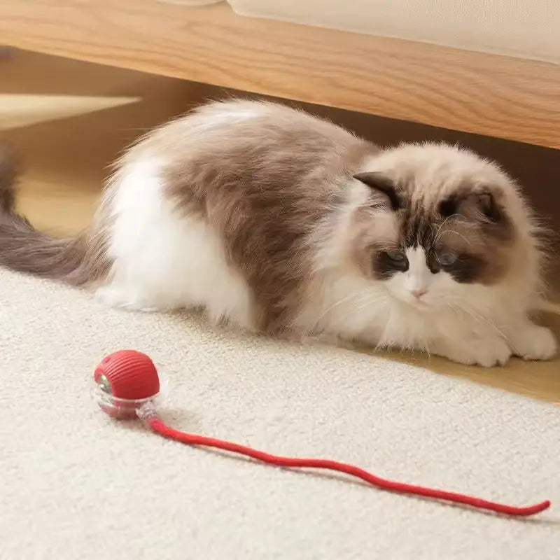 BowLift | Interactive toy for active animals