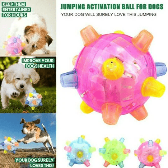 BowLift | Interactive LED Jumping Ball for Dogs